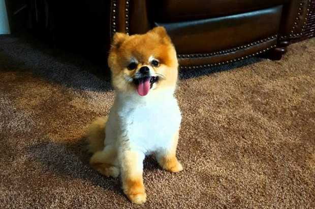sam